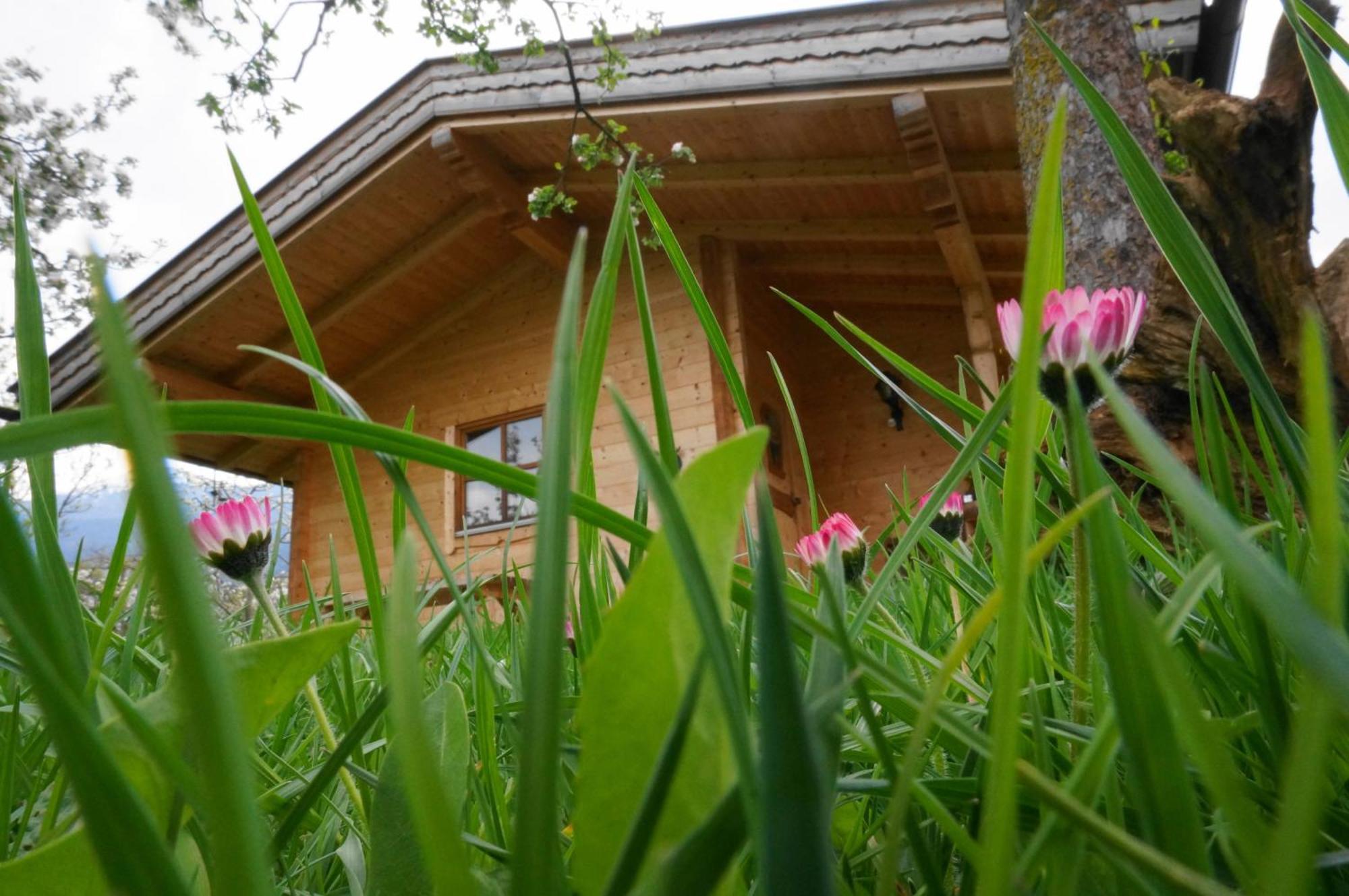 Ferienhaus Mandlhof Weer Luaran gambar